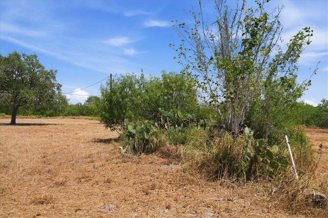 1507 Middle Road George West TX 78022