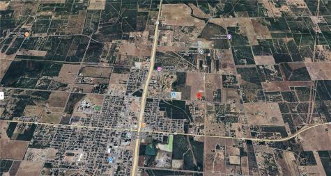 1319 E Travis Street Falfurrias TX 78355