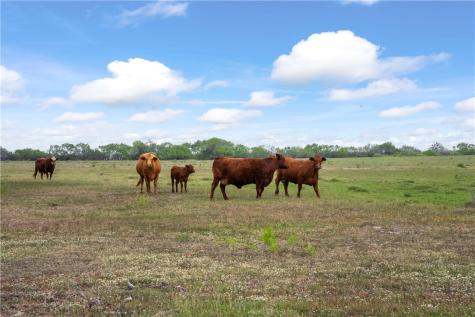 00 North Cr 2140 Kingsville TX 78363