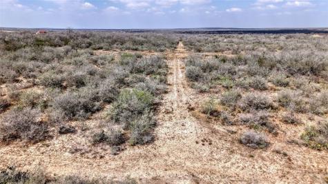 0 W County Road 239 Orange Grove TX 78372