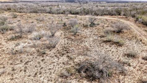 0 W County Road 239 Orange Grove TX 78372