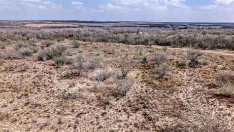 0 W County Road 239 Orange Grove TX 78372
