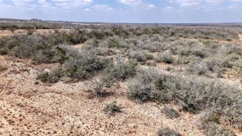 0 W County Road 239 Orange Grove TX 78372