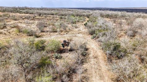 0 W County Road 239 Orange Grove TX 78372