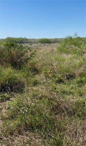 44 Ranch South Highway S San Diego TX 78384