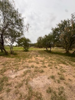 905 Santa Cruz Lane Corpus Christi TX 78415