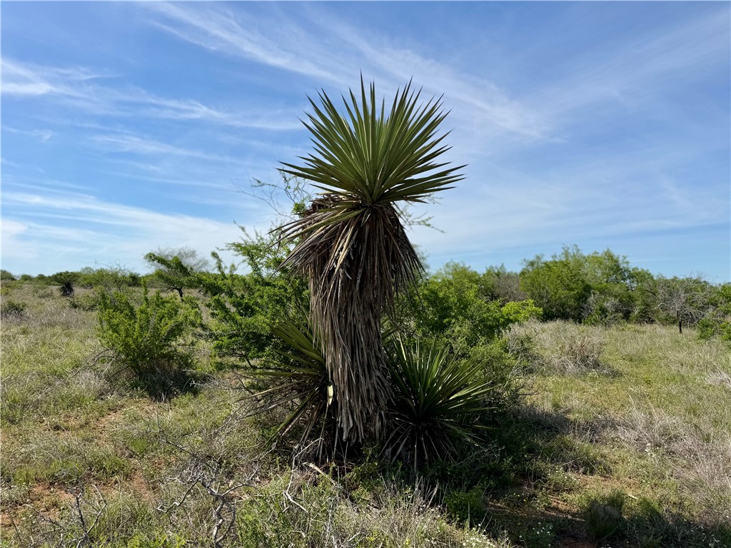 0 Cr 147 George West TX 78022