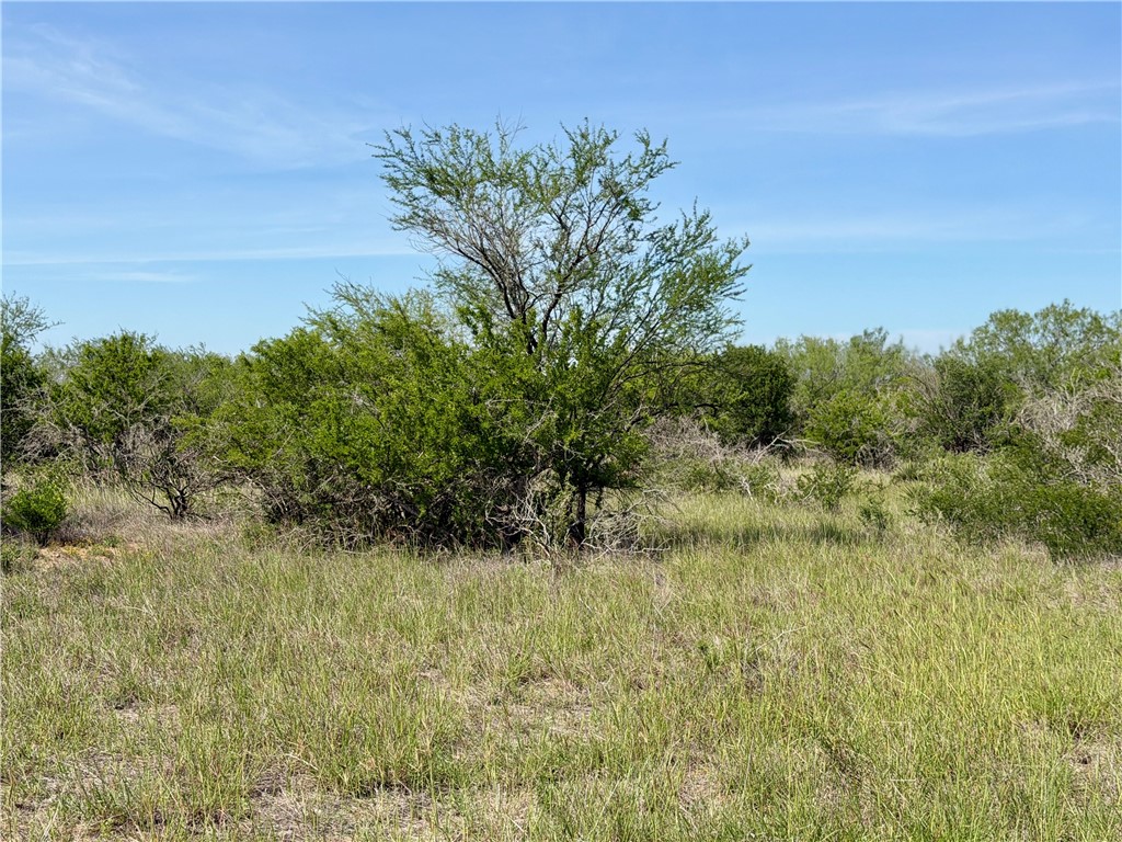 0 Cr 147 George West TX 78022