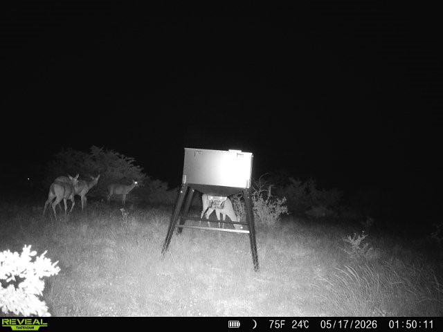 0 Cr 147 George West TX 78022