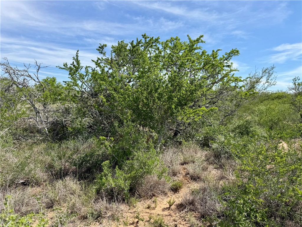 0 Cr 147 George West TX 78022