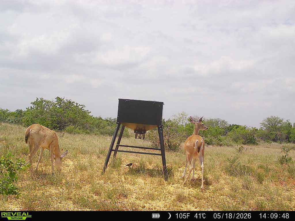 0 Cr 147 George West TX 78022