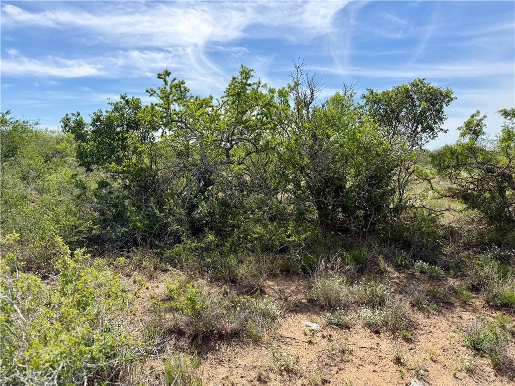 0 Cr 147 George West TX 78022