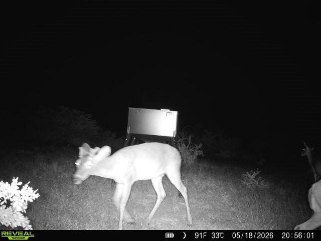 0 Cr 147 George West TX 78022