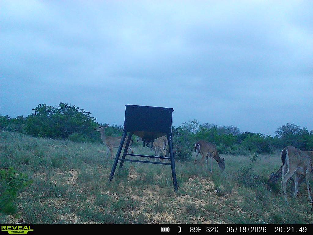 0 Cr 147 George West TX 78022