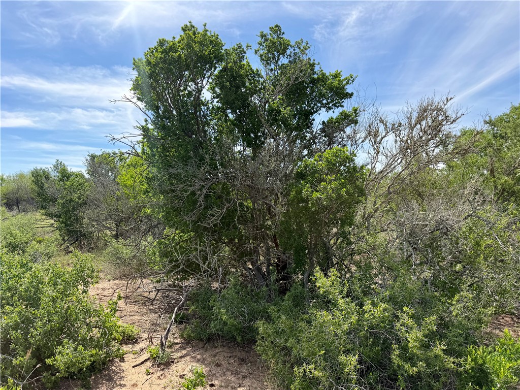 0 Cr 147 George West TX 78022
