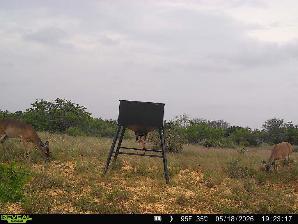 0 Cr 147 George West TX 78022