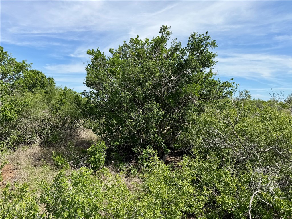 0 Cr 147 George West TX 78022
