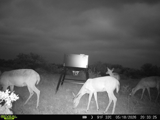 0 Cr 147 George West TX 78022