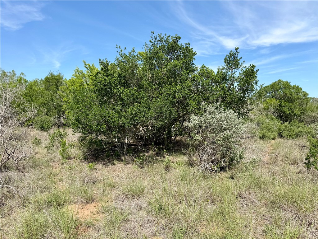 0 Cr 147 George West TX 78022