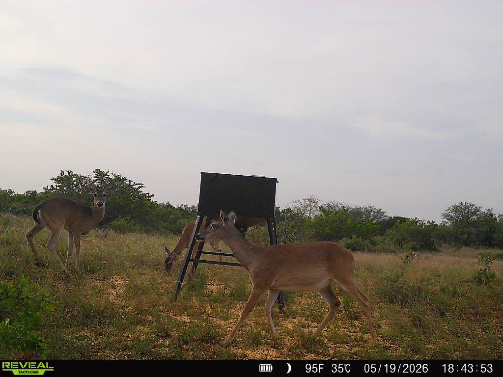 0 Cr 147 George West TX 78022