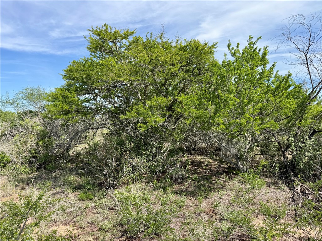 0 Cr 147 George West TX 78022