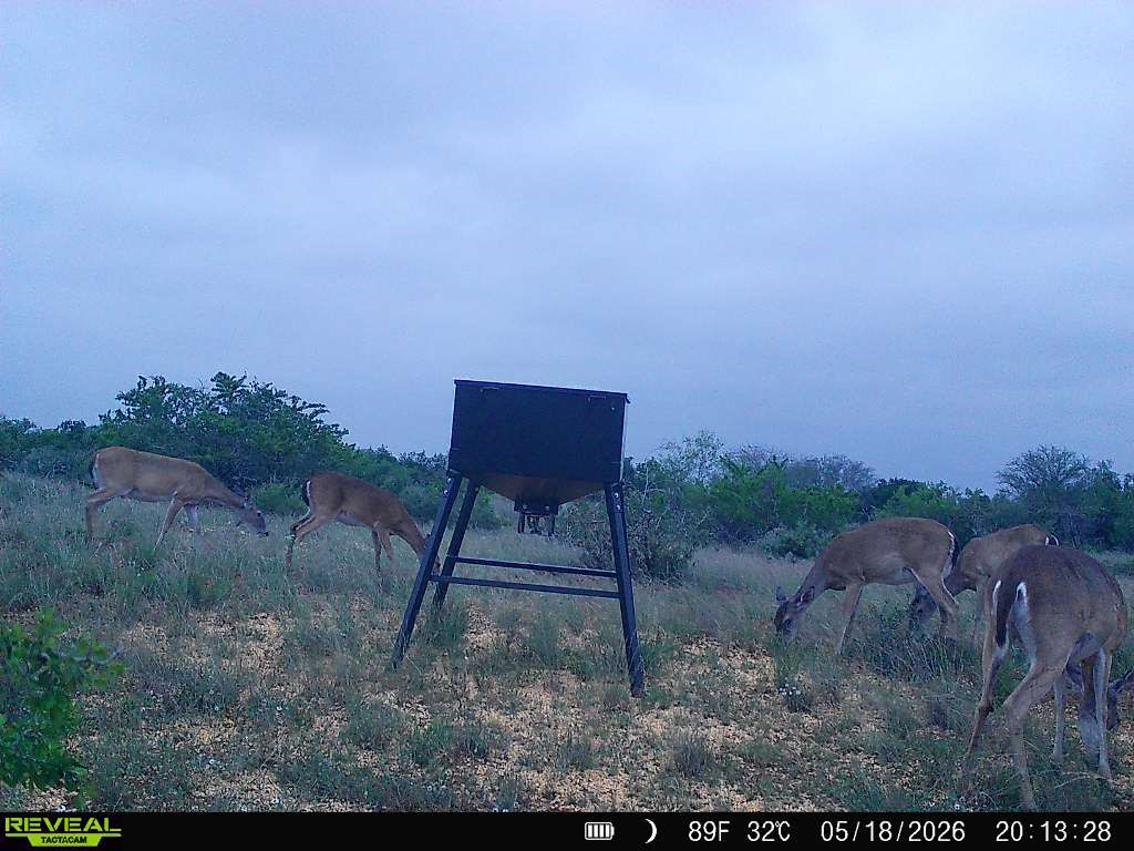 0 Cr 147 George West TX 78022