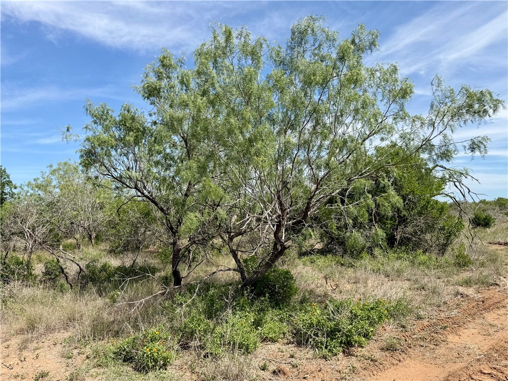 0 Cr 147 George West TX 78022