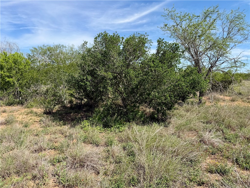0 Cr 147 George West TX 78022