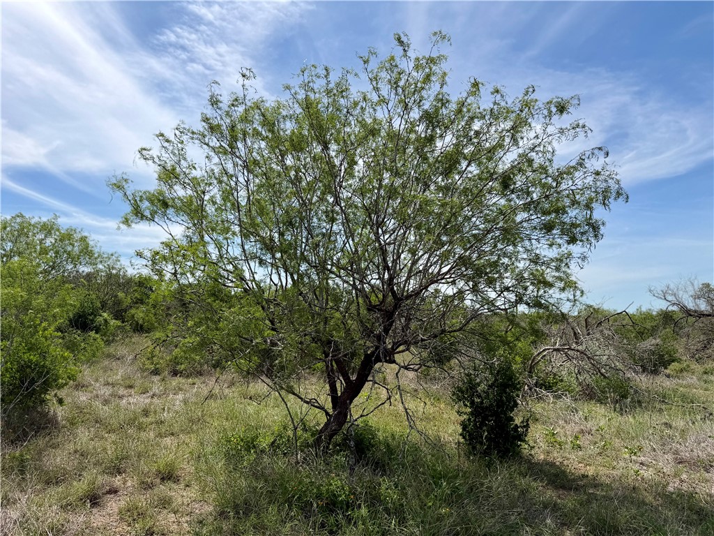 0 Cr 147 George West TX 78022