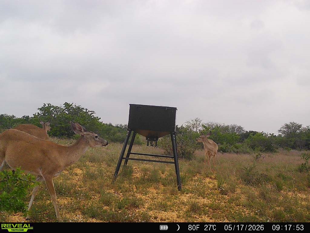 0 Cr 147 George West TX 78022