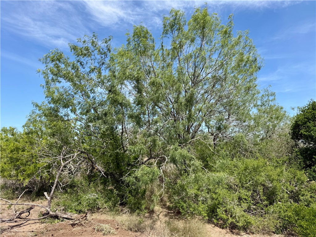 0 Cr 147 George West TX 78022