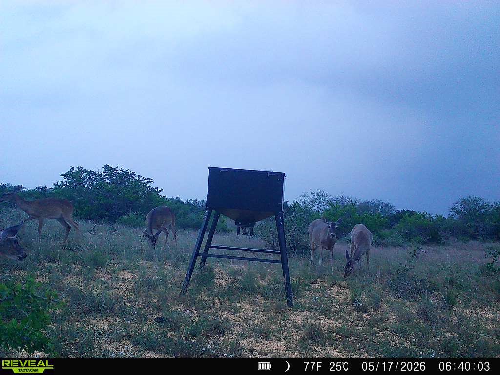 0 Cr 147 George West TX 78022