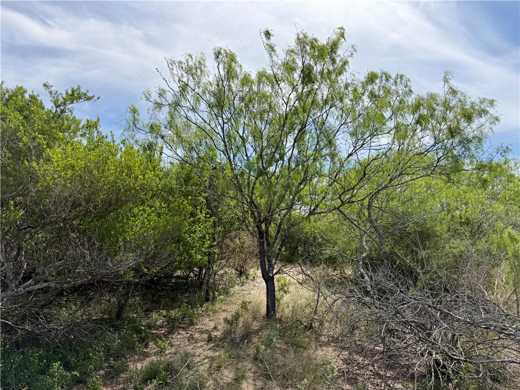 0 Cr 147 George West TX 78022