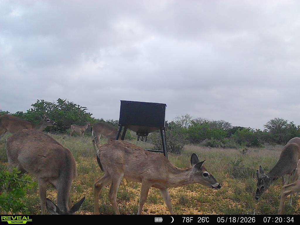 0 Cr 147 George West TX 78022