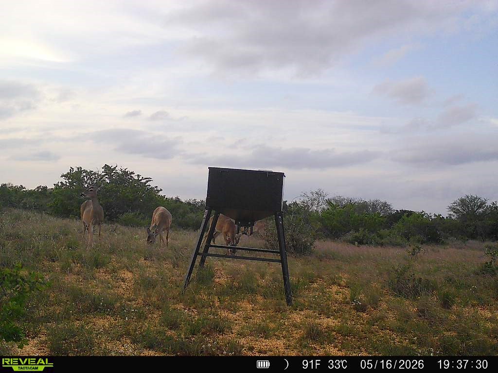 0 Cr 147 George West TX 78022