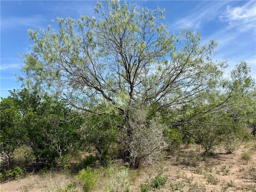 0 Cr 147 George West TX 78022