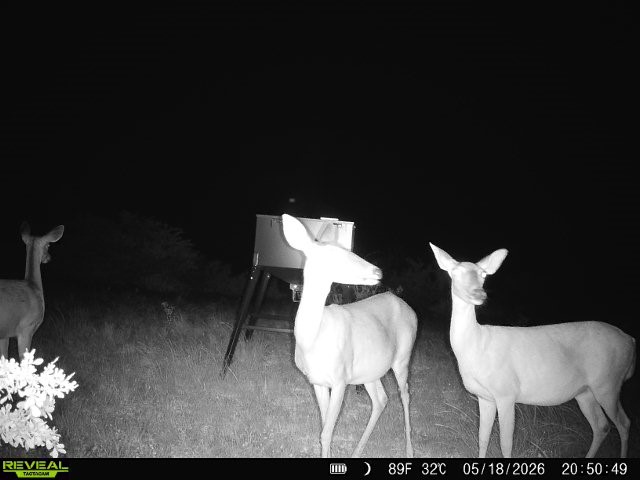 0 Cr 147 George West TX 78022