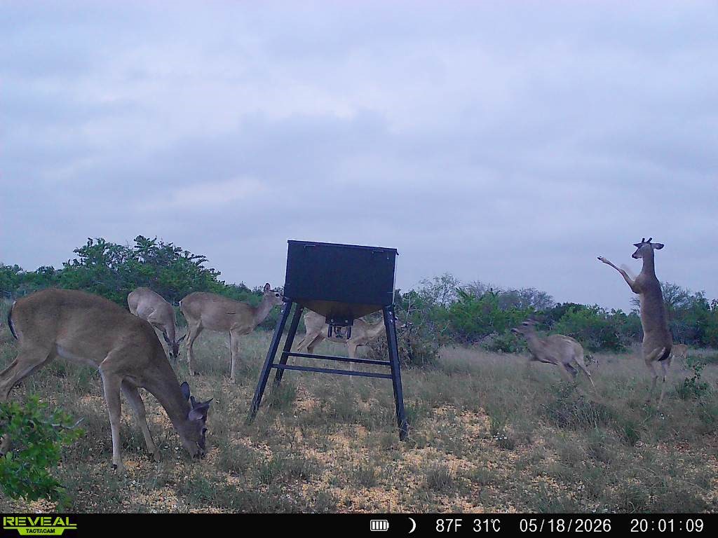 0 Cr 147 George West TX 78022