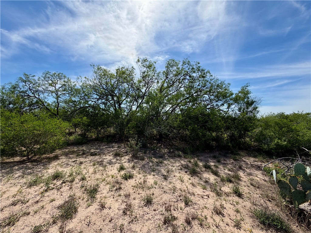 0 Cr 147 George West TX 78022