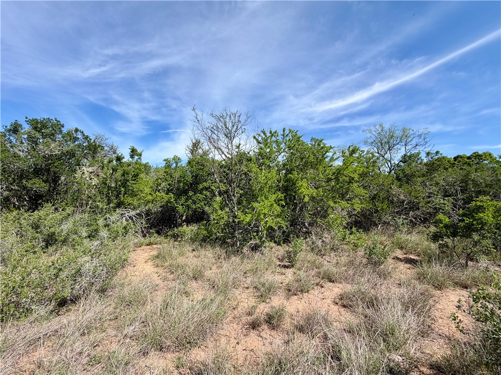 0 Cr 147 George West TX 78022