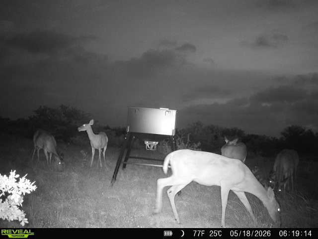 0 Cr 147 George West TX 78022