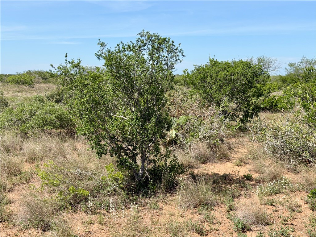 0 Cr 147 George West TX 78022