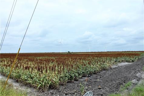 0000 Hwy 181 Cr 1612 Cr 3567 Taft TX 78390