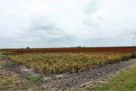 0000 Hwy 181 Cr 1612 Cr 3567 Taft TX 78390