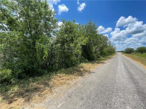 114 County Road 230 Orange Grove TX 78372
