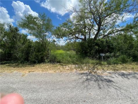 114 County Road 230 Orange Grove TX 78372
