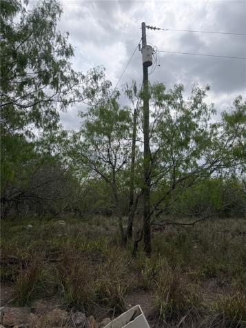 114 County Road 230 Orange Grove TX 78372