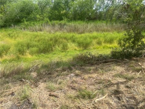 283 N Shore Mathis TX 78368