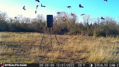 464 Cr 354 Charlotte TX 78011