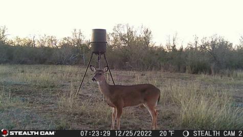 464 Cr 354 Charlotte TX 78011